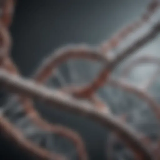 A detailed illustration of the double helix structure of DNA.