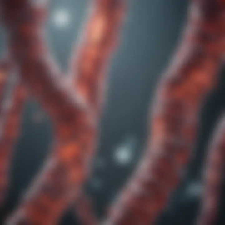 Future directions in lung cell line studies