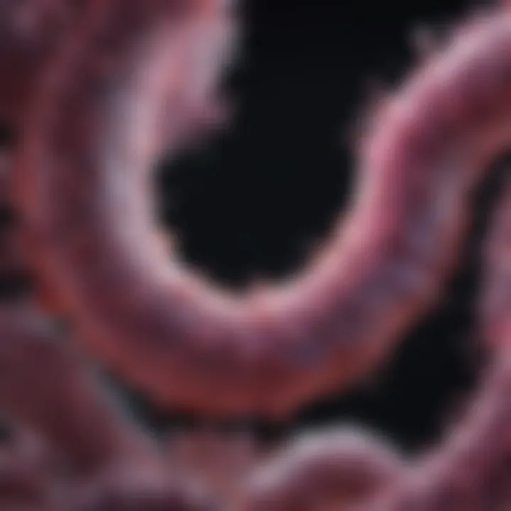 Notable Exploring the Impact of KRAS G12D Mutation in Pancreatic Cancer