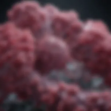 Exploring the Impact of KRAS G12D Mutation in Pancreatic Cancer Summary Exploring the Impact of KRAS G12D Mutation in Pancreatic Cancer Summary