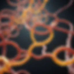 Illustration of biochemical pathways influenced by vitamin D