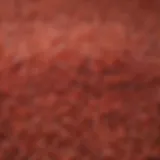 Close-up view of red rice grains highlighting their unique color and texture