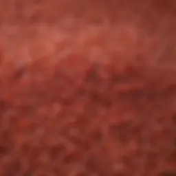 Close-up view of red rice grains highlighting their unique color and texture