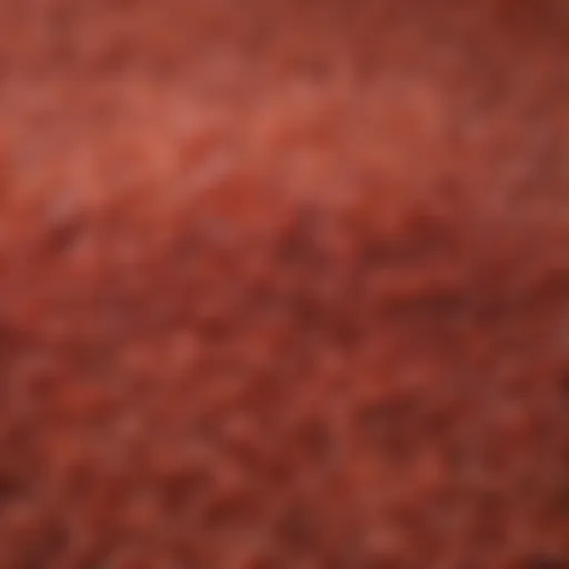 Close-up view of red rice grains highlighting their unique color and texture