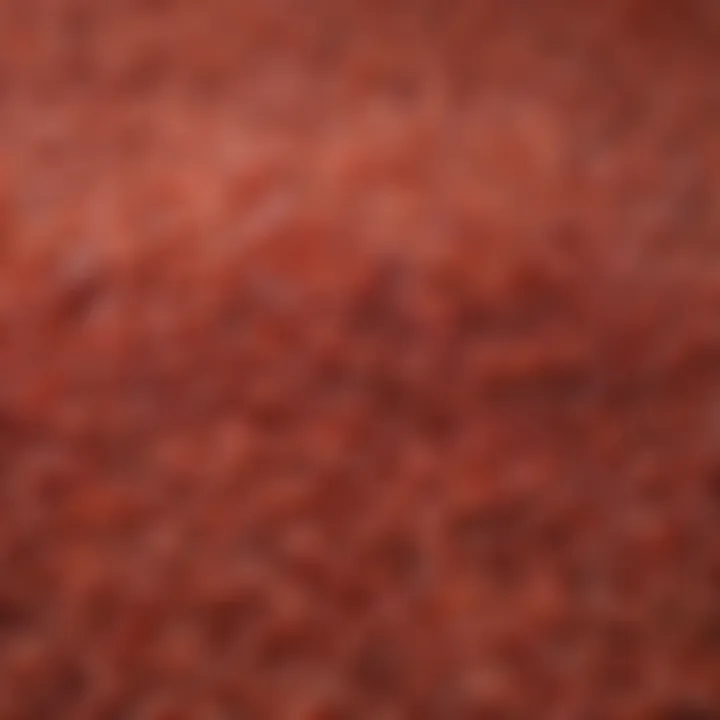 Close-up view of red rice grains highlighting their unique color and texture