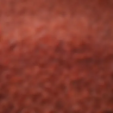 Aesthetic Appeal of Red Rice Close-up view of red rice grains highlighting their unique color and texture