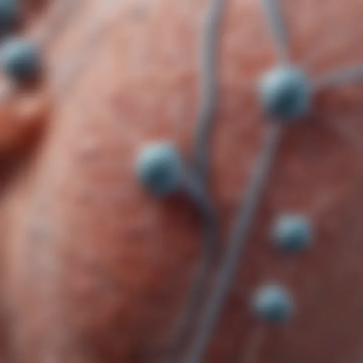 Diagram illustrating diagnostic protocols for atypical glandular cells