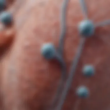 Diagnostic Protocols for Atypical Glandular Cells Diagram illustrating diagnostic protocols for atypical glandular cells