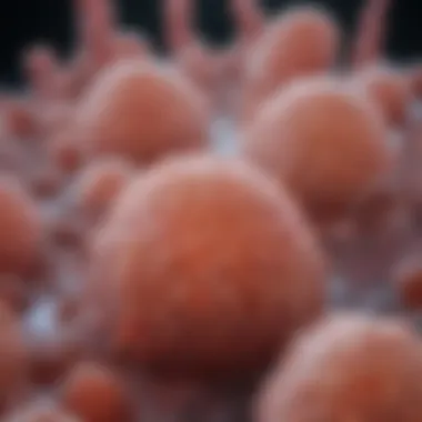 Treatment Modalities for Atypical Glandular Cells Visual representation of treatment modalities available