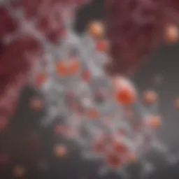 Molecular structure of folic acid