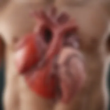 Visual representation of different types of genetic heart diseases