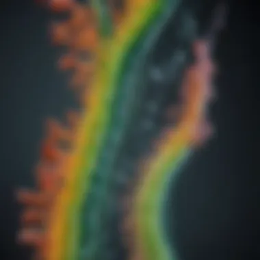 Applications of GFP Beads in Biotechnology Applications of GFP beads in biotechnology