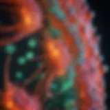 GFP beads under fluorescence microscope