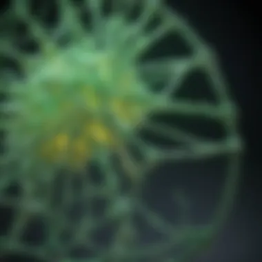 Molecular Structure of GFP Molecular structure of Green Fluorescent Protein