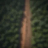 Aerial view of deforestation and its impact on climate change