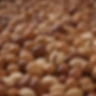 Nutritional Nuts An assortment of nuts that support health