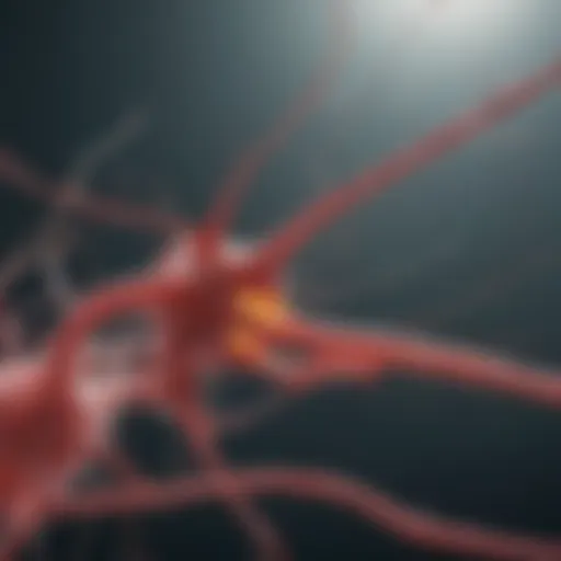 Neurons illustrating the pathophysiology of Guillain-Barré Syndrome