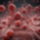 Detailed diagram of hematologic neoplasms classification