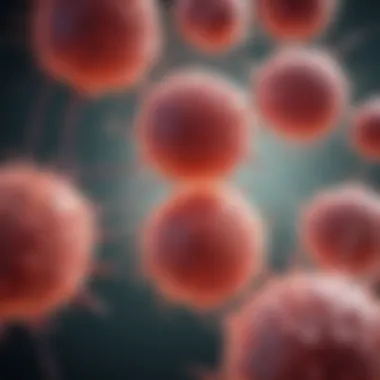 Cellular Connections: Hepatocytes and Their Neighbors Illustration of hepatocyte interactions with neighboring cells