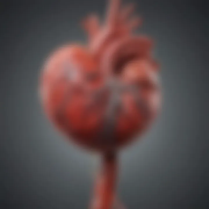 Illustration of cardiovascular system affected by high cholesterol