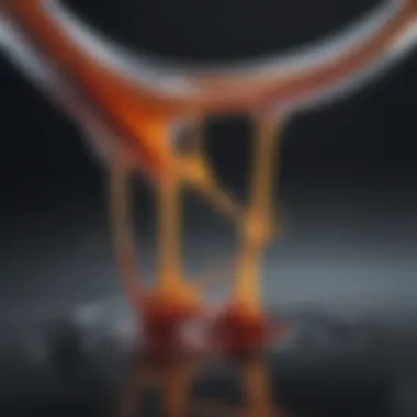 Melting Curves in High Resolution Melting Analysis Illustration of HRM melting curves demonstrating DNA variants