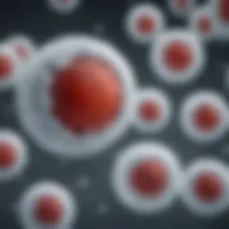 Illustration depicting the role of white blood cells in the immune system.