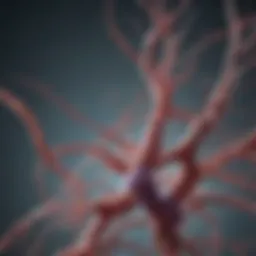 Illustration depicting the genetic basis of Huntington-like diseases