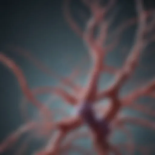 Illustration depicting the genetic basis of Huntington-like diseases