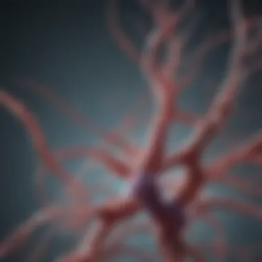 Genetic Connections in Neurodegeneration Illustration depicting the genetic basis of Huntington-like diseases