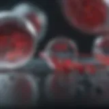 Antibiotics mechanism of action in STD treatment
