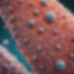 Microscopic view of keratinocytes exhibiting atypical features.