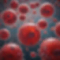 Microscopic view of blood culture showing bacteria
