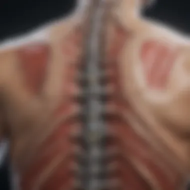 Understanding Spinal Compression Illustration of spinal anatomy highlighting compression points