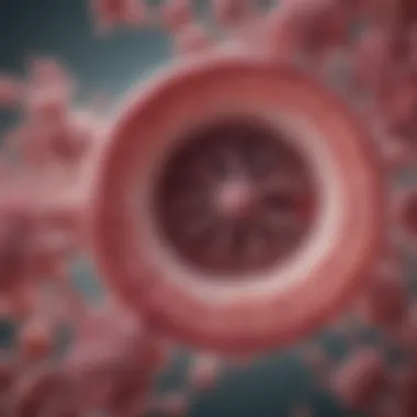 Structural Organization of Liver Lobules Diagram showing liver lobule structure and hepatocyte organization