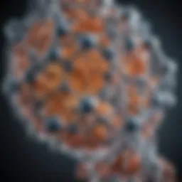 Molecular structure of Locked Nucleic Acids