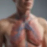 Overview of stage four COPD with an anatomical representation of the lungs