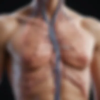 Anatomy of Axillary Lymph Nodes Detailed anatomical diagram of axillary lymph nodes