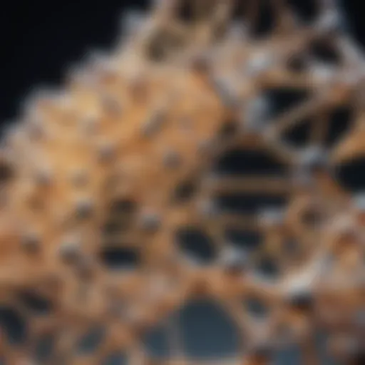 MCT molecular structure demonstration