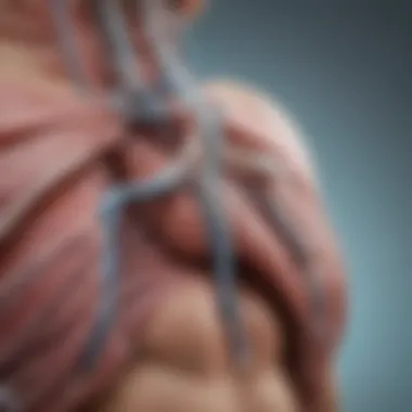 Medical Illustration: Bridging Art and Science Summary Medical Illustration: Bridging Art and Science Summary
