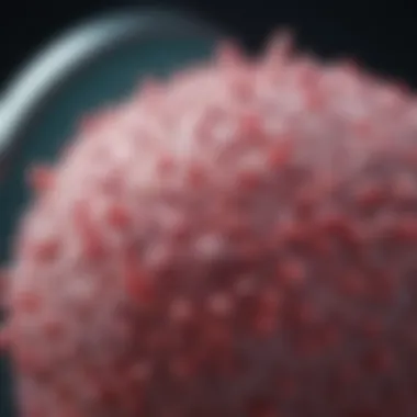 Advancements in Treatment Options for Adenocarcinoma Graph showcasing recent advancements in treatment options for adenocarcinoma