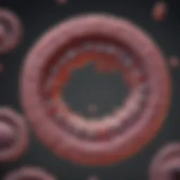 Mechanism of action of metronidazole in ulcerative colitis treatment