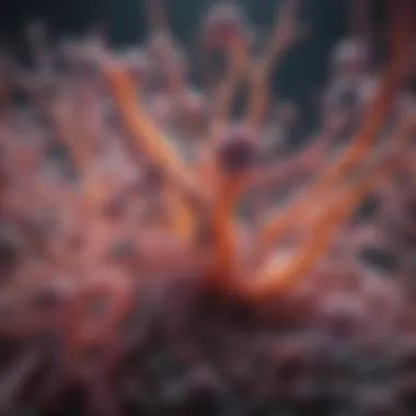 Visual representation of the microbiota's role in cancer development