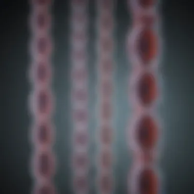The Complexity of Chromosomal Architecture Chromosomal structure illustrating the complexity of genetic material