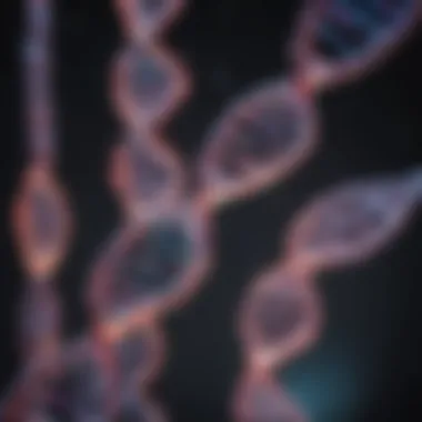 Visualizing DNA with FISH Technique Fluorescence In Situ Hybridization technique for visualizing DNA