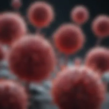 Myeloma Cells Under a Microscope Detailed representation of myeloma cells