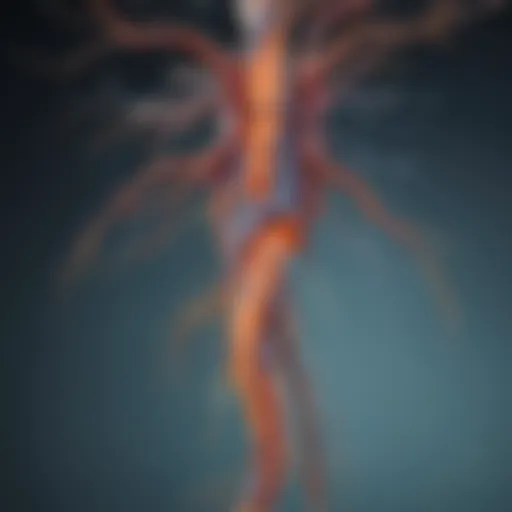 Illustration depicting the neurological pathways affected by multiple sclerosis