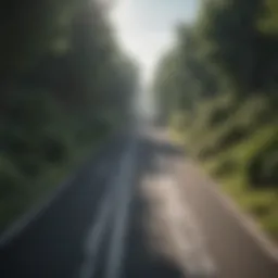 Net Zero CO2 Emissions: Pathways and Implications Introduction