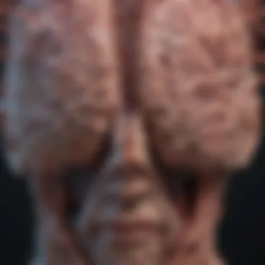 Notable Neuro Images: Unraveling the Complexity of the Brain Notable Neuro Images: Unraveling the Complexity of the Brain