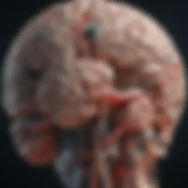 Neuro Images: Unraveling the Complexity of the Brain Summary Neuro Images: Unraveling the Complexity of the Brain Summary