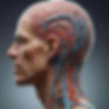 Neurological Pathways of Tinnitus Visual representation of the neurological pathways involved in tinnitus sensations.